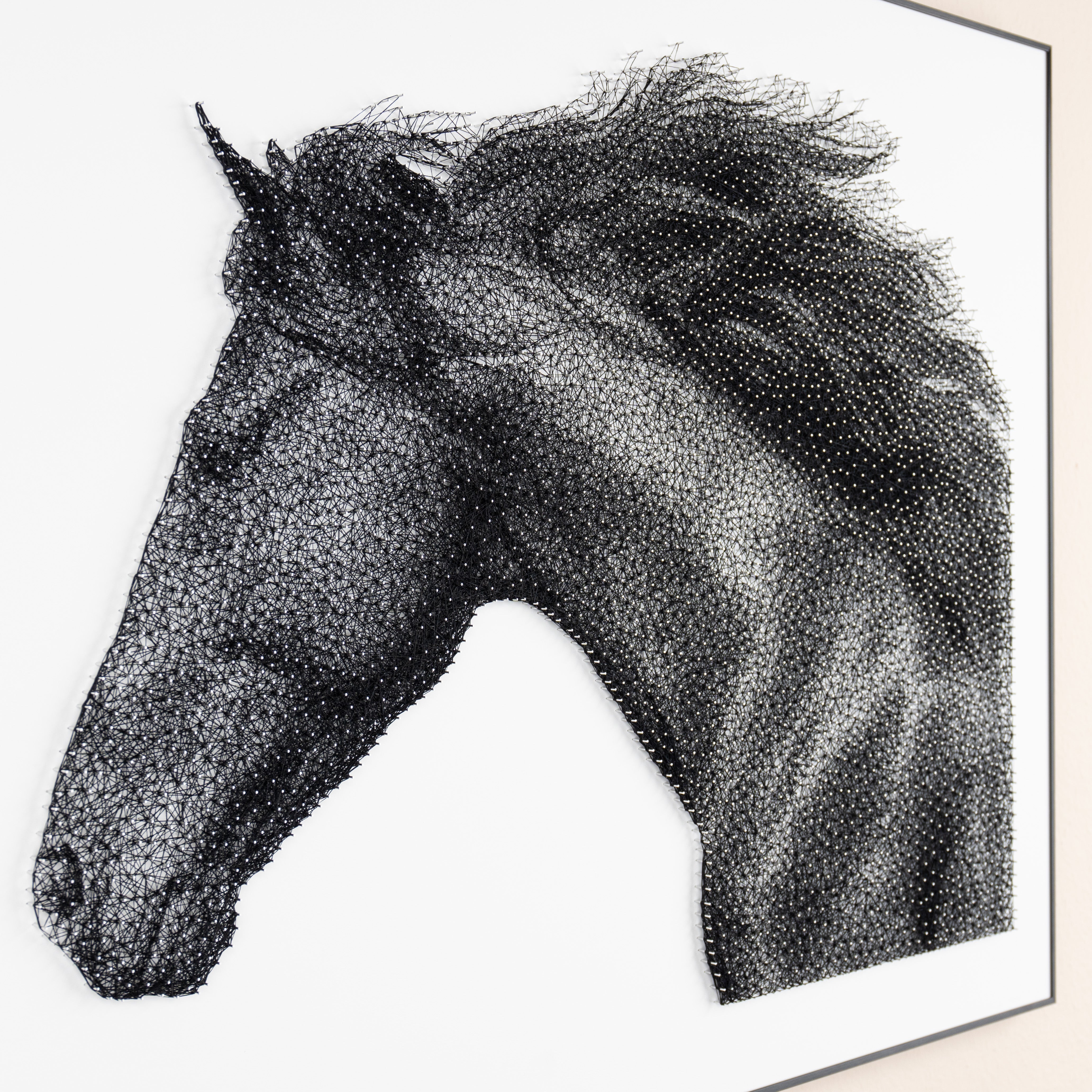 Black Beauty