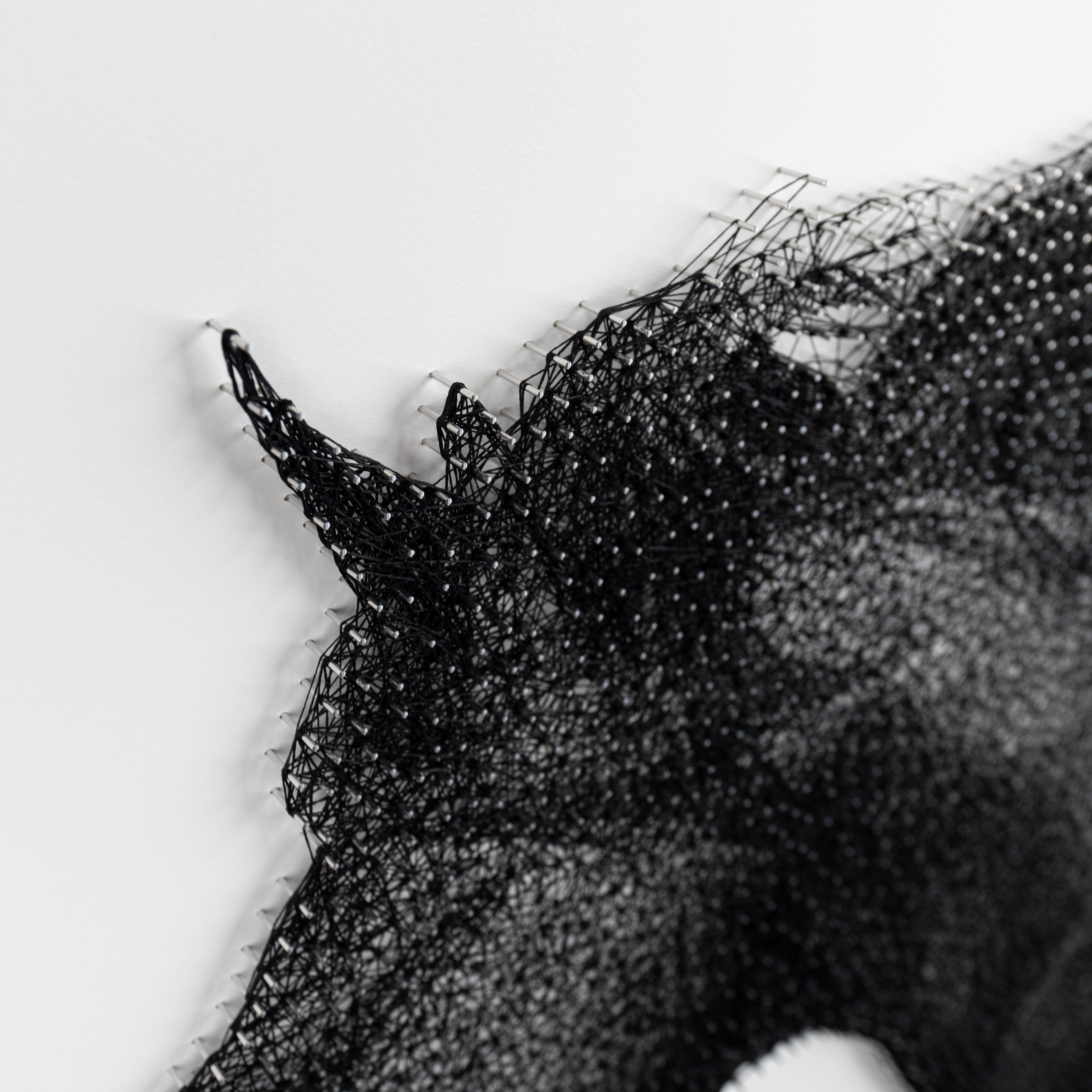 Black Beauty