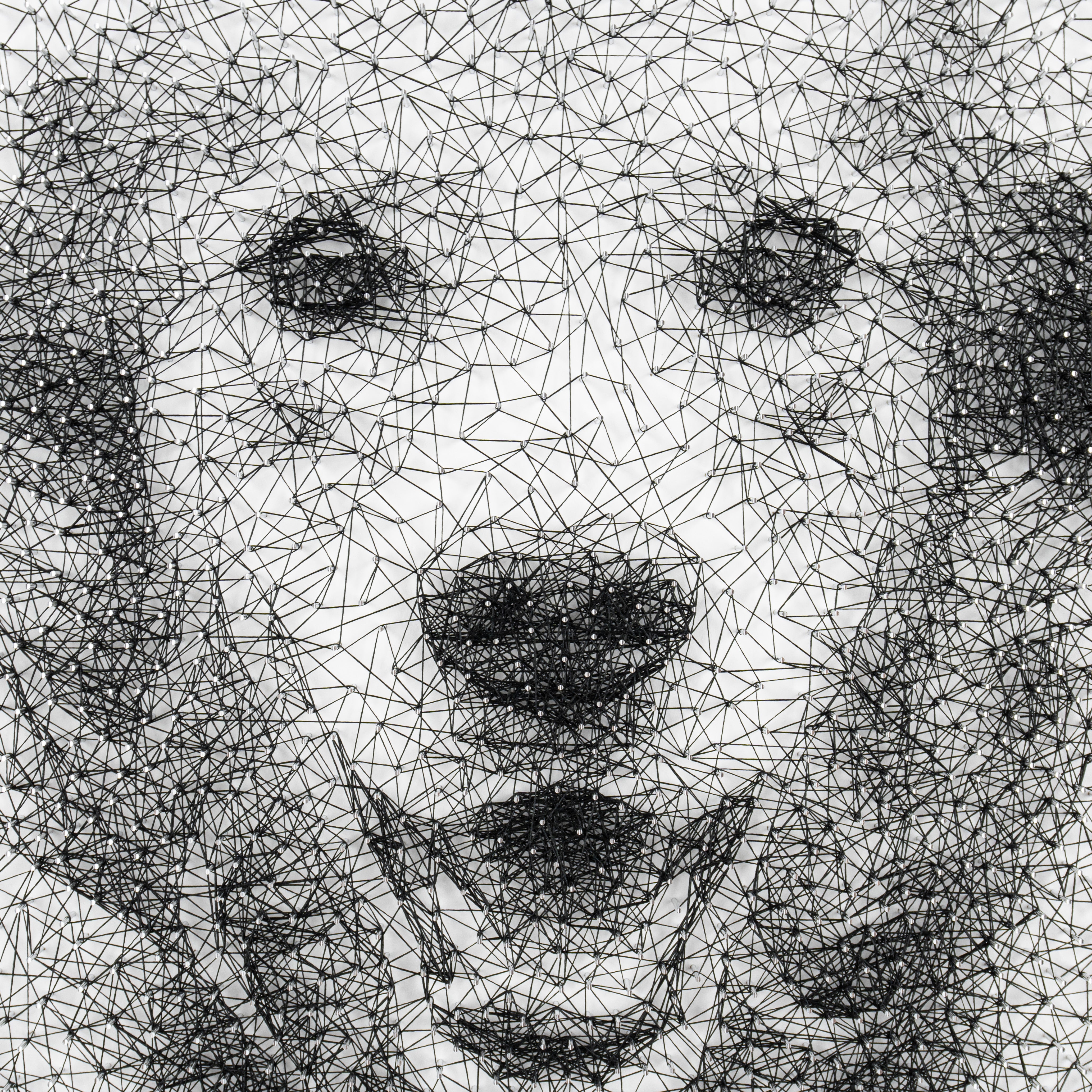 Gleeful Dog