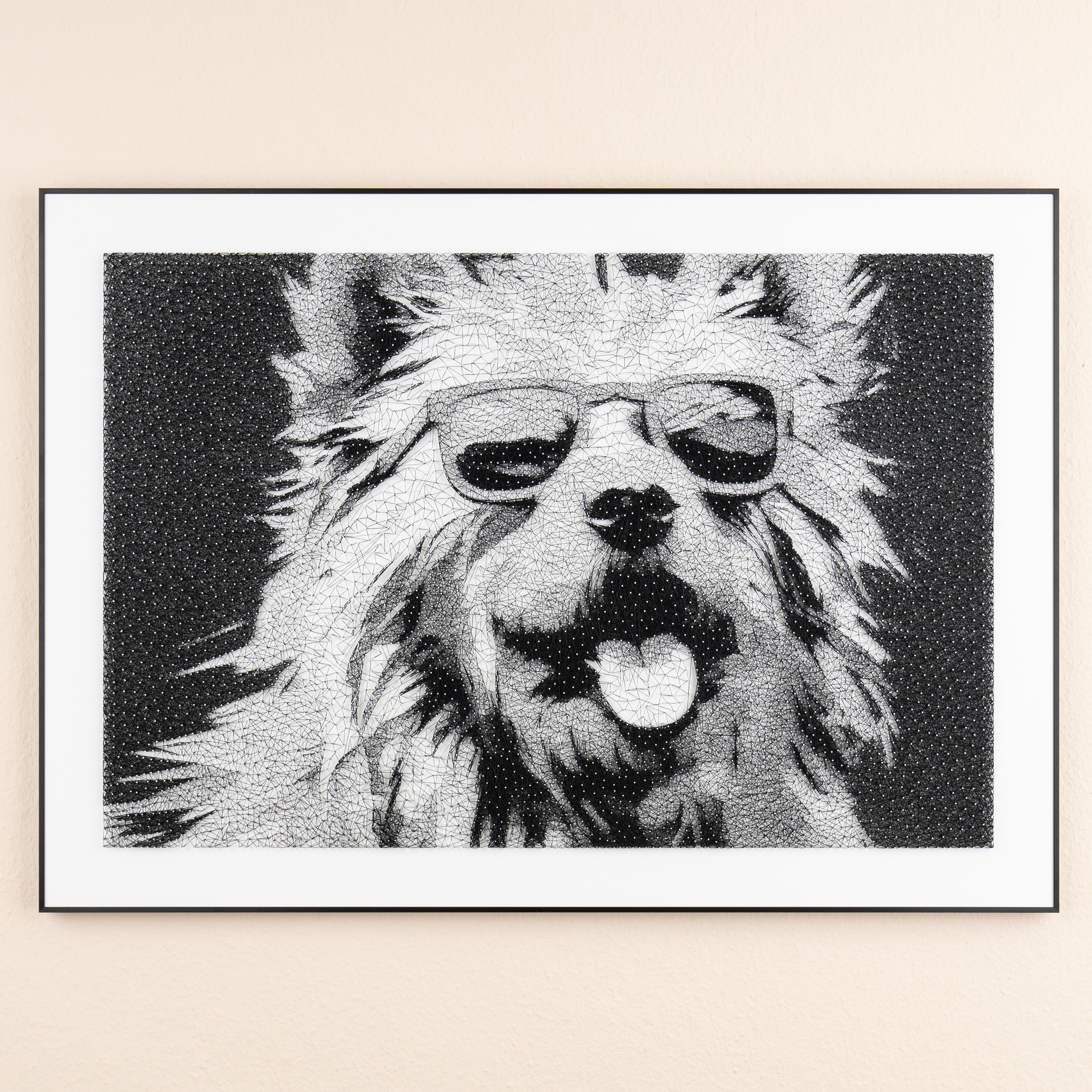 Sunny Dog