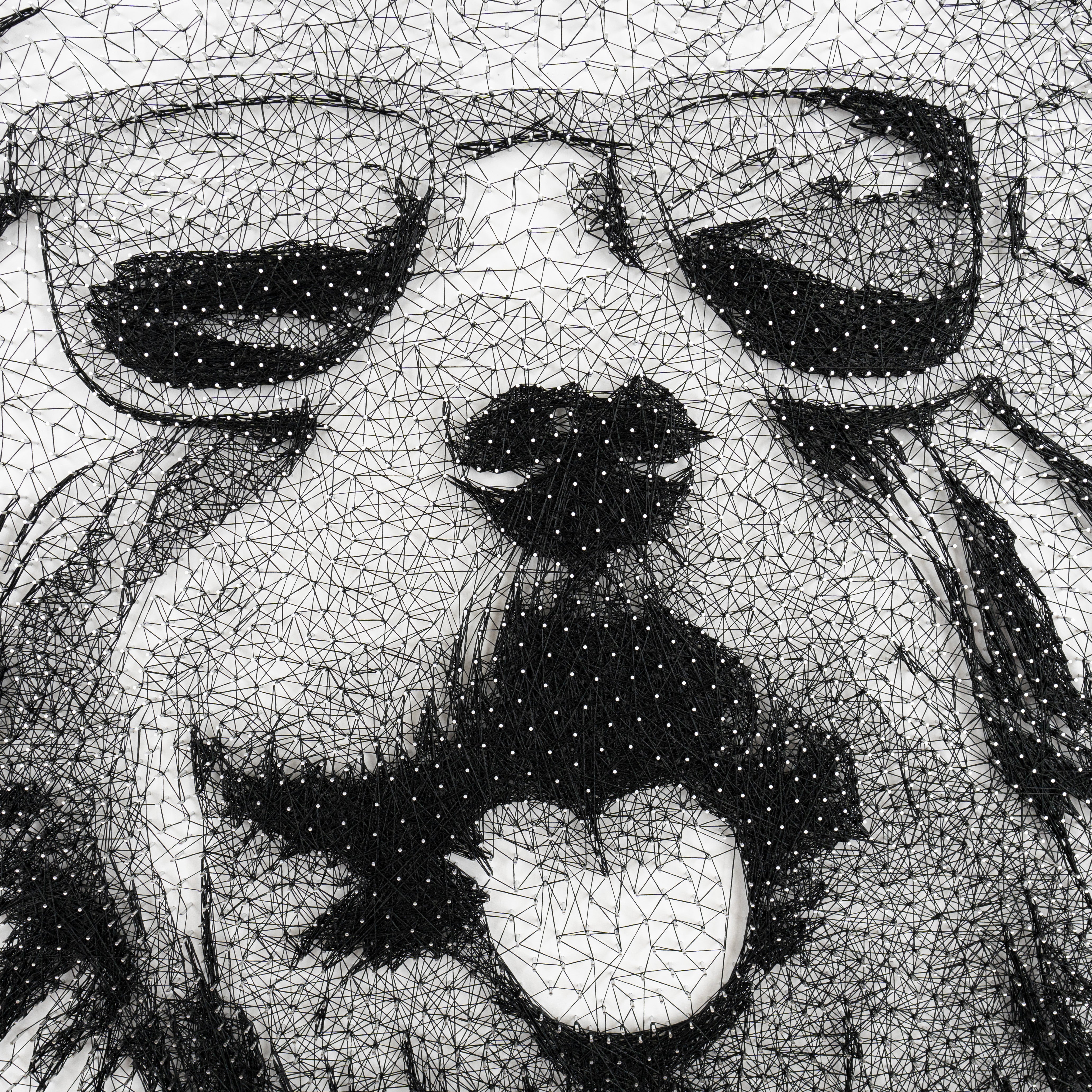 Sunny Dog