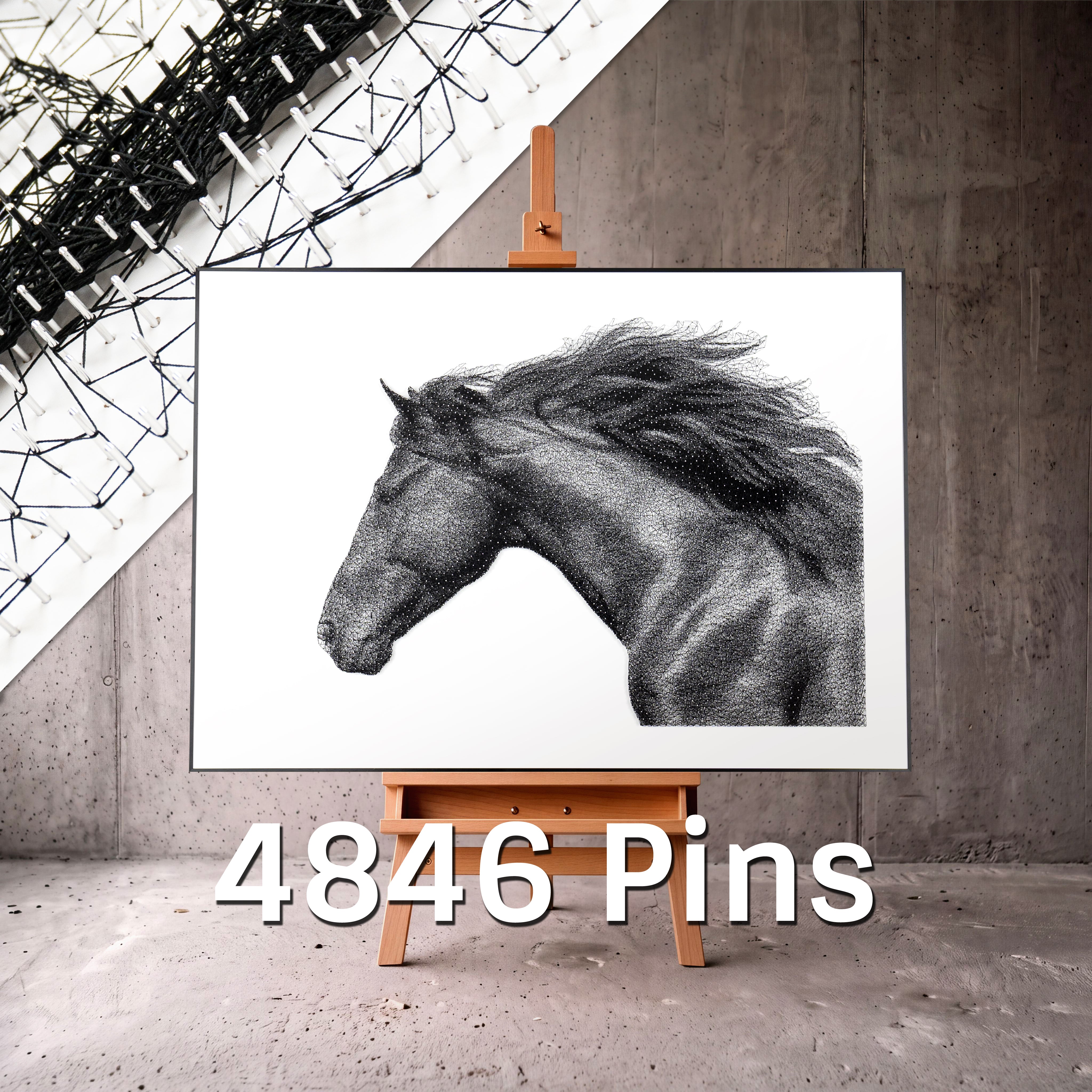 Fadenbild mit 4846 Nägeln, 81x57 cm