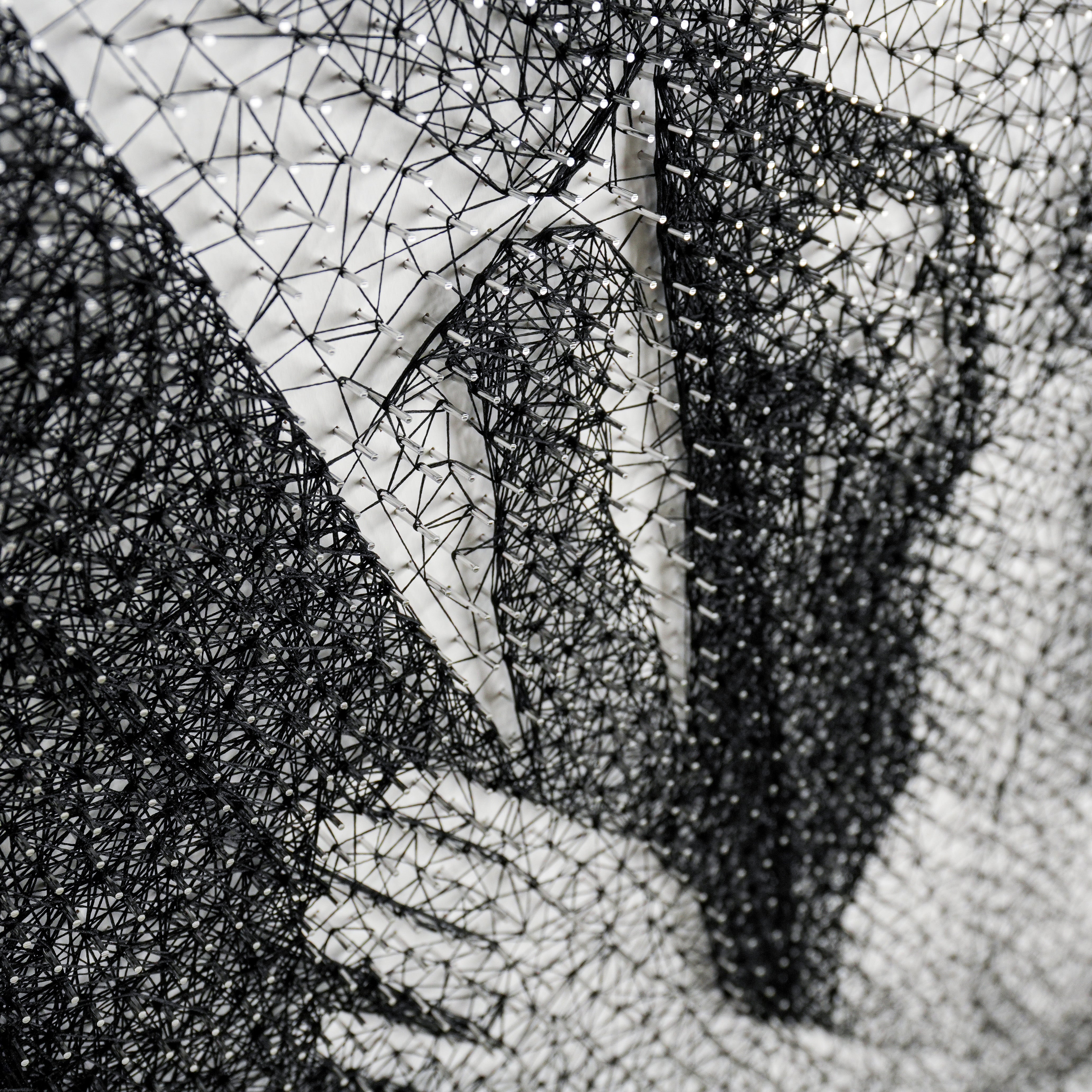 Personalisiertes Fadenbild, 81x57 cm, 8424 Nägel