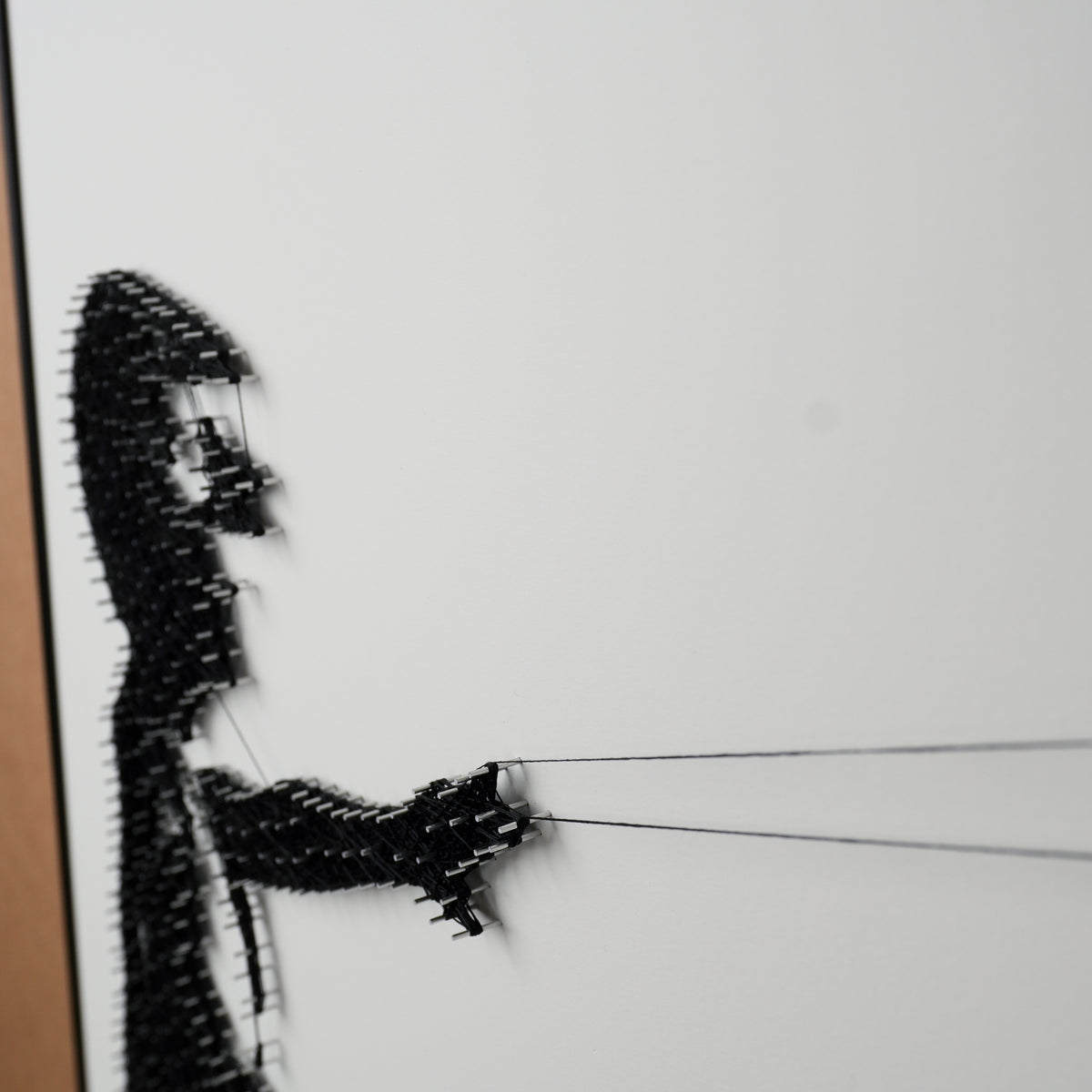Fadenbild mit 1025 Nägeln, 57x81 cm